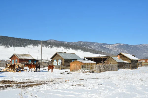西伯利亚 Bolshoe Goloustnoe 冬天与马的雪山背景下的乡村景观 — 图库照片