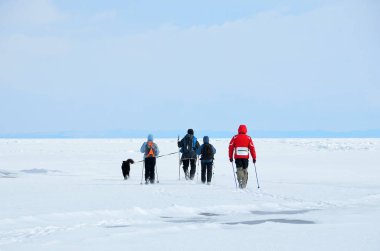 Baykal Gölü, Rusya, Mart, 06, 2017. Turistler ile köpek kış baykal geniş expanses gidiş