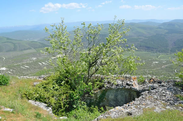 Crimean Spring Landscape Plateau Tepe Kermen Sunny Day — Stock Photo, Image