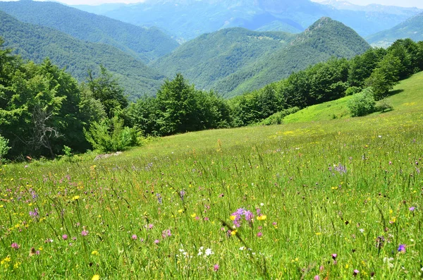 Montenegro Dinaric Alps Summer — Stock Photo, Image