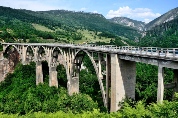 Черногория, мост через реку Тару
