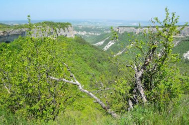 Bahar Kırım'da, dağ Mangup görünümlerinden