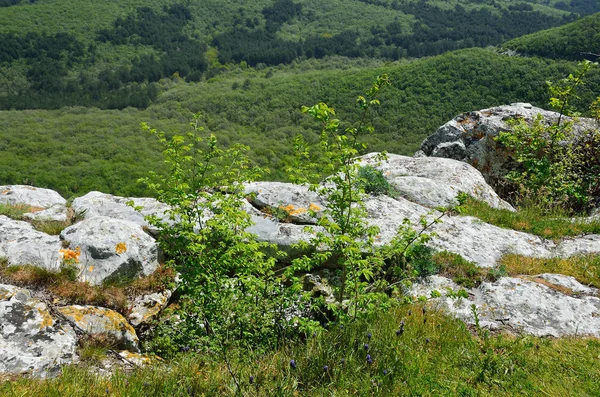 Crimea Primaveral Las Vistas Montaña Mangup — Foto de Stock