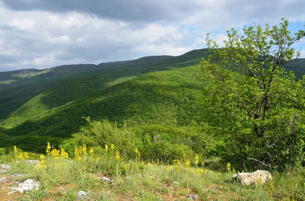 Mountains Grand Canyon Crimea — Stock Photo, Image