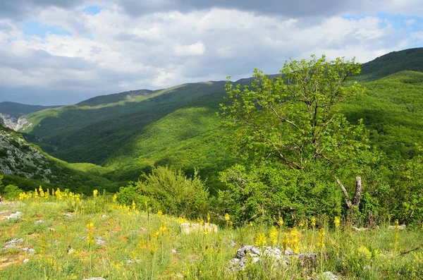 Βουνά Του Μεγάλου Φαραγγιού Της Κριμαίας — Φωτογραφία Αρχείου