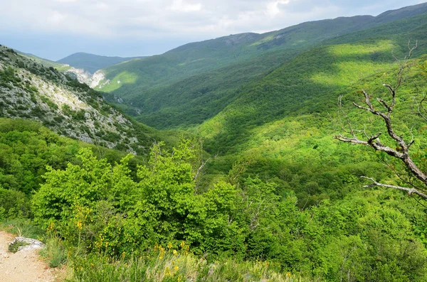 Mountains Grand Canyon Crimea May — Stock Photo, Image