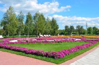 Moskova, Rusya, Ağustos, 14,2 015. Güzel flowerbed yaz aylarında Peyzaj Park 