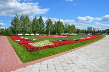 Moskova, Rusya, Ağustos, 14,2 015. Güzel flowerbed yaz aylarında Peyzaj Park 