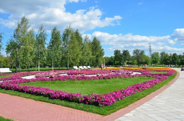Moskova, Rusya, Ağustos, 14,2 015. Güzel flowerbed yaz aylarında Peyzaj Park 