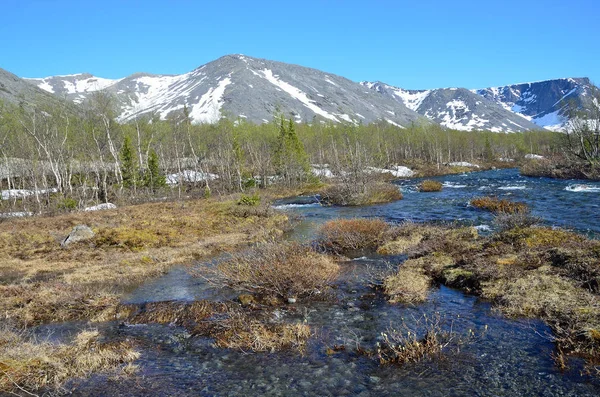 Río Kuniyok en Khibiny en verano, península de Kola, Rusia —  Fotos de Stock