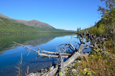 Rusya, Altay bölgesi, Ust-Koksinsky bölgesi, Eylül ayında ortalama Multinskoye Gölü