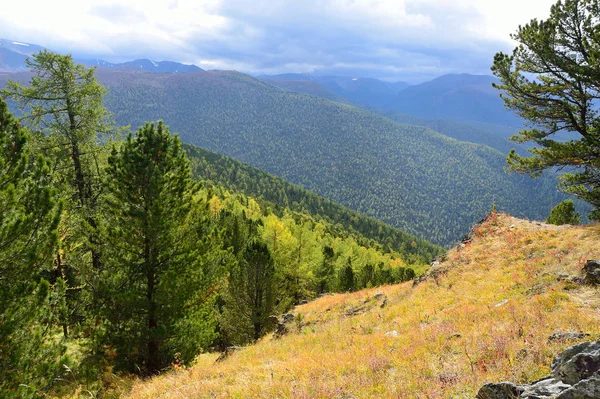 Russia Montagne Altai Natura Vicino Villaggio Maralnik — Foto Stock