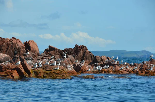 Islas Verkhovsky Parte Occidental Región Primorsky Rusia — Foto de Stock