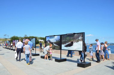 Vladivostok, Rusya, Eylül, 10, 2017. Fefu gezinti yerinde 