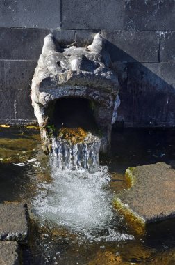 Mineral Erlonguan bahar Wudalianchi, Çin'Yaoquan yanardağ eteklerinde vizyon tedavisi için