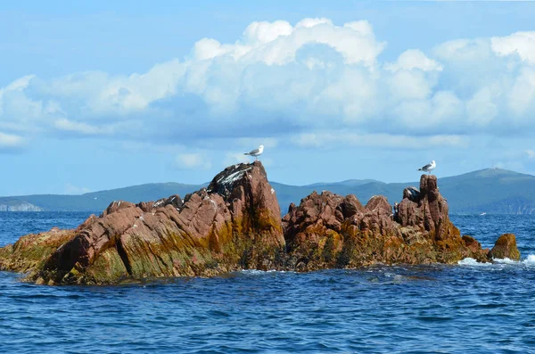 Islas Verkhovsky Parte Occidental Región Primorsky Rusia — Foto de Stock