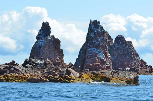 Amur Bay Primorsky bölgesi, Rusya Verkhovsky Adaları