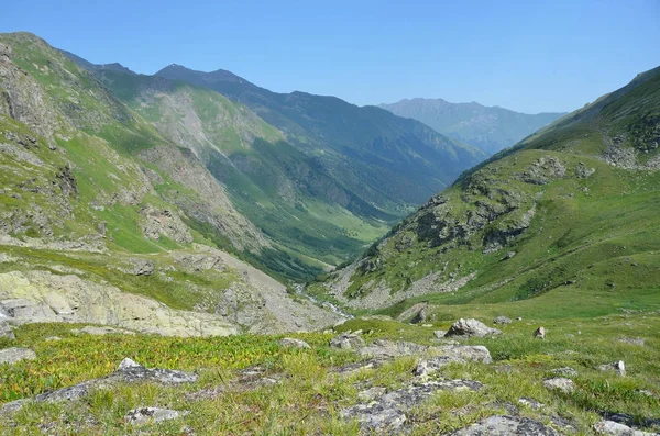 Kavkazské Biosférické Rezervace Údolí Řeky Imeretinka Létě Jasného Počasí — Stock fotografie