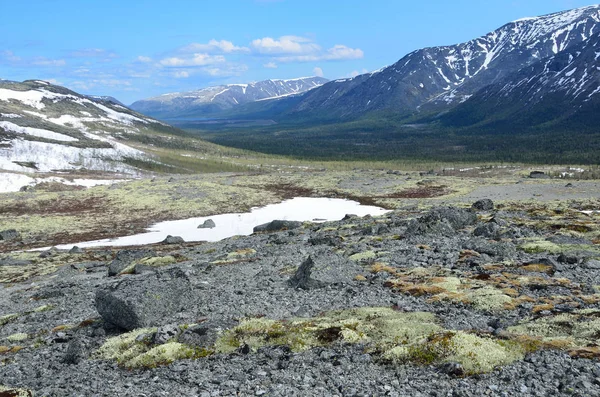 Ryssland Kolahalvön Khibiny Berg Molnig Dag Sommar — Stockfoto