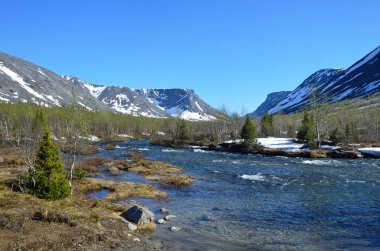 Nehir Kuniyok içinde Khibiny yaz, Kola Yarımadası, Rusya Federasyonu