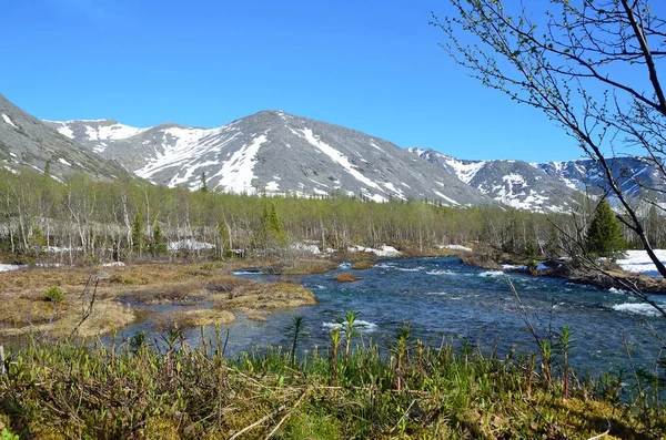 Río Kuniyok Khibiny Verano Península Kola Rusia —  Fotos de Stock