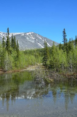 Küçük isimsiz göl güneşli yaz günü Khibiny dağlarında