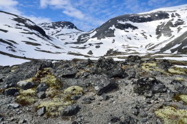 Rusya, Kola Yarımadası, Khibiny dağlarda yaz