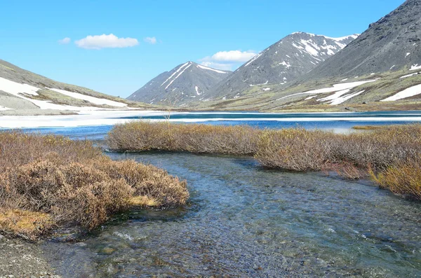 Russia Kola Peninsula Khibiny Serdtsevidnoye Lake Summer — Stock Photo, Image