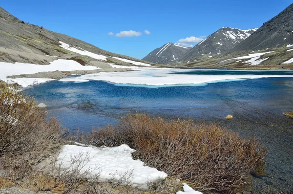 Rusya Kola Yarımadası Khibiny Serdtsevidnoye Gölü Yaz Aylarında — Stok fotoğraf