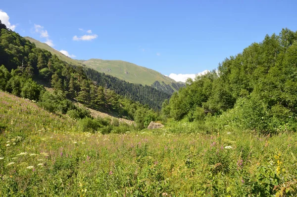 白种人生物圈保护区 夏季在阳光明媚的天气里的伊梅雷廷卡河谷 — 图库照片