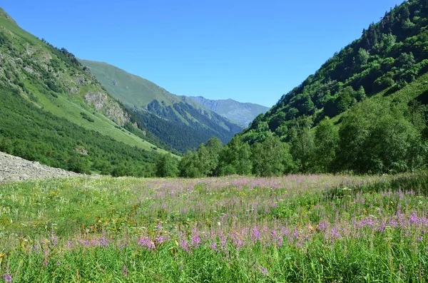Russland Das Kaukasische Biosphärenreservat Flusstal Von Imeretinka Sommer Bei Klarem — Stockfoto