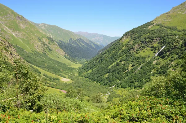 Rezerwatu Biosfery Kaukaska Dolinie Rzeki Imeretinka Lecie Przy Słonecznej Pogodzie — Zdjęcie stockowe