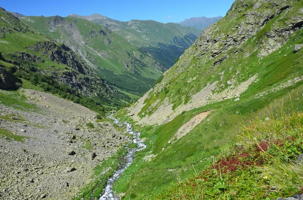 Kavkazské Biosférické Rezervace Údolí Řeky Imeretinka Létě Slunečného Počasí — Stock fotografie