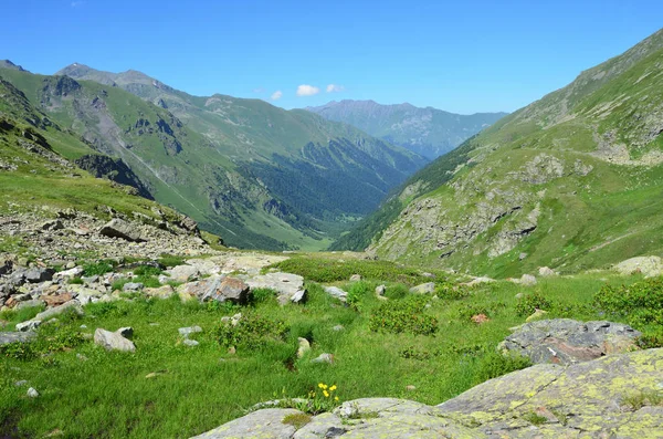 Kavkazské Biosférické Rezervace Údolí Řeky Imeretinka Létě Slunečného Počasí — Stock fotografie