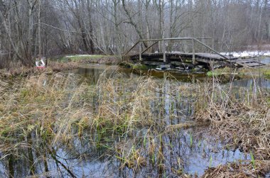 Gnilkino Köyü yakınındaki nehrin Abdeh eski ahşap köprüden. Pskov region, Rusya Federasyonu