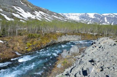Nehir Kuniyok içinde Khibiny yaz, Kola Yarımadası, Rusya Federasyonu