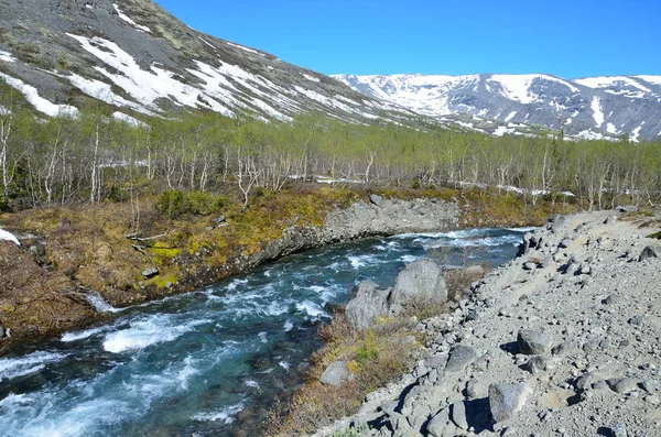 River Kuniyok Khibiny Summer Kola Peninsula Russia — Stock Photo, Image