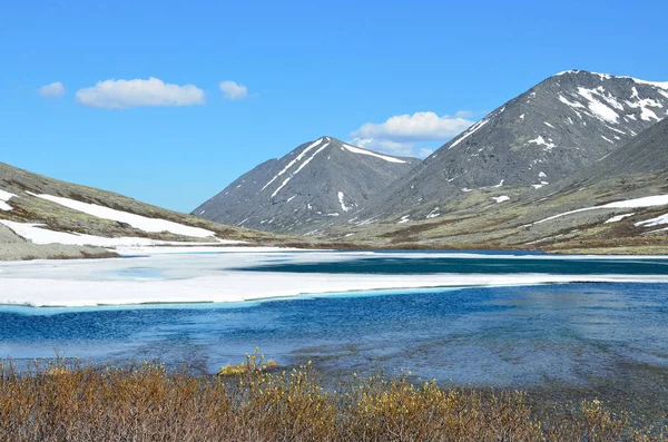 Rusya Kola Yarımadası Khibiny Serdtsevidnoye Gölü Yaz Aylarında — Stok fotoğraf