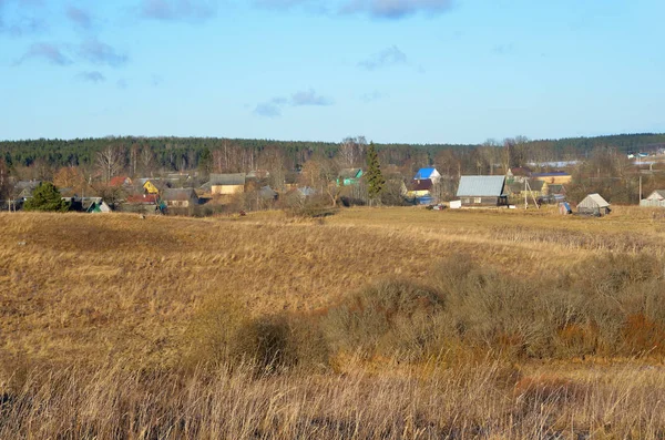 Lesitsko Vesnice Okrese Pečory Pskovská Oblast Rusko — Stock fotografie