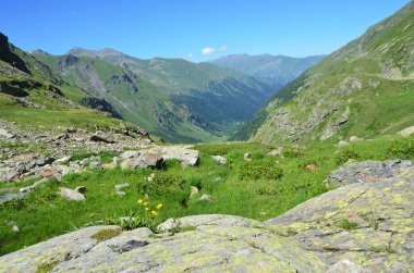 Kafkas biyosfer rezervi, yaz aylarında güneşli havalarda nehirde Imeretinka Vadisi