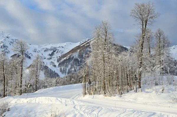 ロシアのソチ スキー リゾート ローザ クトール 曇りの朝冬を風景します — ストック写真