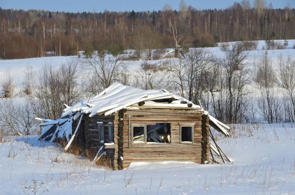 Rússia Região Arkhangelsk Distrito Plesetsk Habitantes Abandonaram Aldeia Mikhailovskoye Isakovskaya — Fotografia de Stock