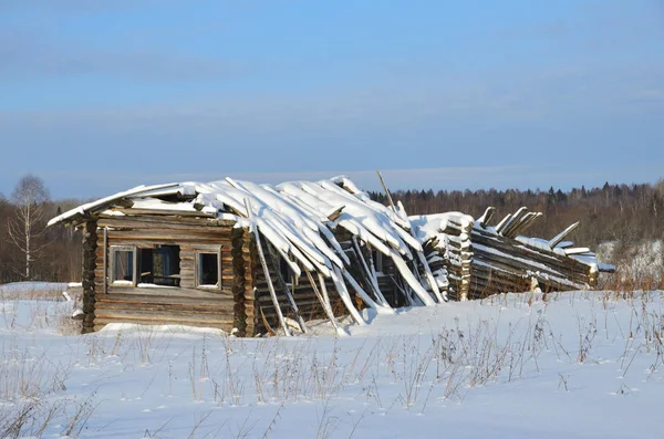 Rusland Archangelsk Regio Plesetsk District Bewoners Verlaten Het Dorp Mikhailovskoye — Stockfoto