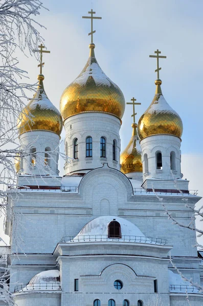 Las Cúpulas Oro Catedral Del Arcángel Miguel Arkhangelsk Rusia —  Fotos de Stock