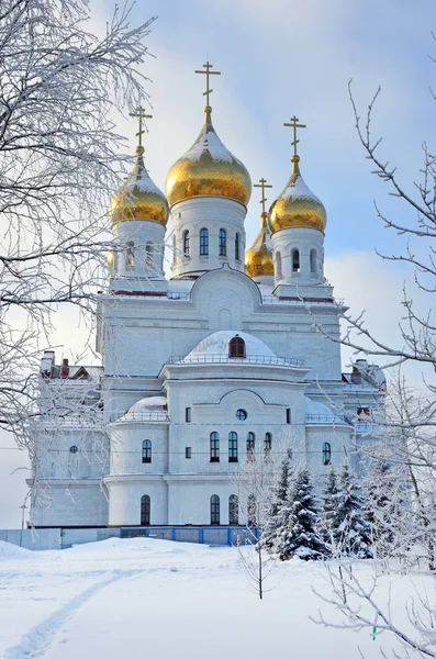 Die Goldenen Kuppeln Der Kathedrale Des Erzengels Michael Archangelsk Russland — Stockfoto