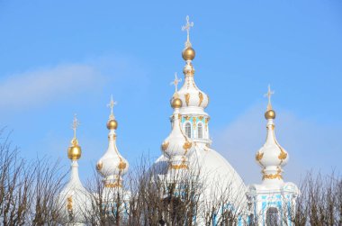 Saint-Petersburg, Rusya. Kış günü Smolny katedral. Kar, kar taneleri gökyüzünde
