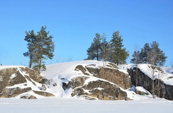 Rosja Jezioro Ładoga Ladozhskoye Zatoka Murolakhti Kocherga Mroźny Zimowy Dzień — Zdjęcie stockowe