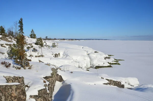 Rusland Ladoga Skerries Pijnbomen Rotsachtige Kust Van Het Meer Een — Stockfoto