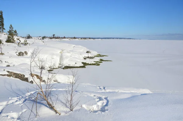 Rusland Het Ladogameer Ladozhskoye Golf Van Murolakhti Kocherga Winter — Stockfoto