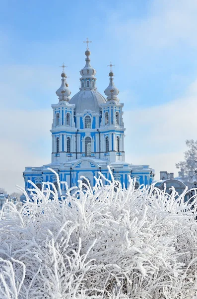 俄罗斯 圣彼得堡 斯莫尔尼宫大教堂在冬天天 在下雪 雪花在天空中 — 图库照片